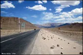 نقش جداسازی در جاده